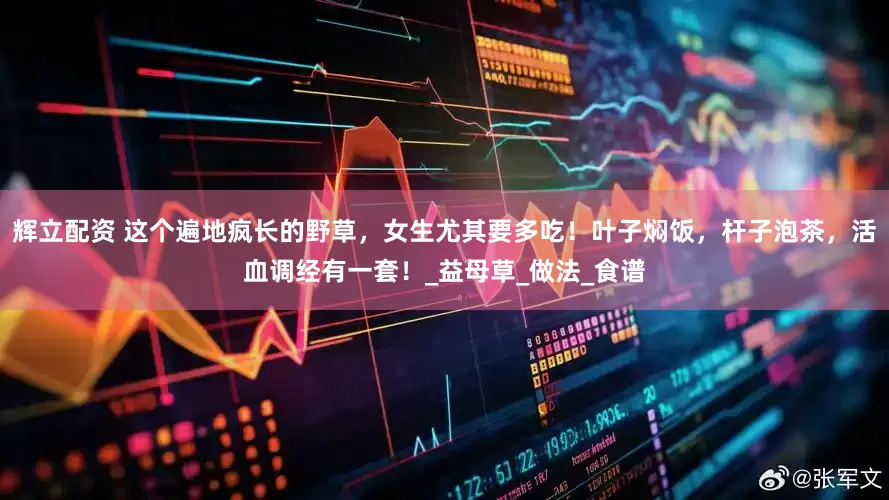 辉立配资 这个遍地疯长的野草，女生尤其要多吃！叶子焖饭，杆子泡茶，活血调经有一套！_益母草_做法_食谱