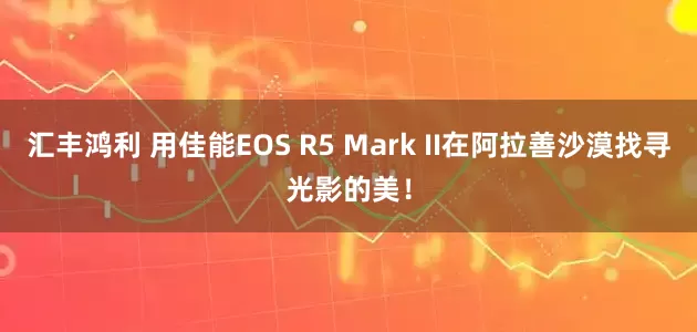 汇丰鸿利 用佳能EOS R5 Mark II在阿拉善沙漠找寻光影的美！